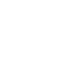 A white globe with an earth and a shield.