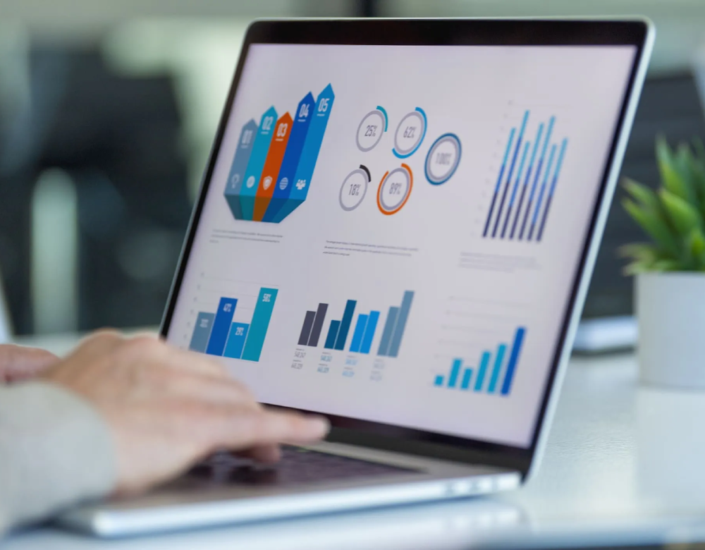 A person is using a laptop with graphs on it.